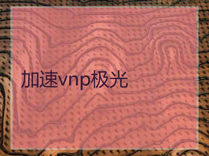 加速vnp极光