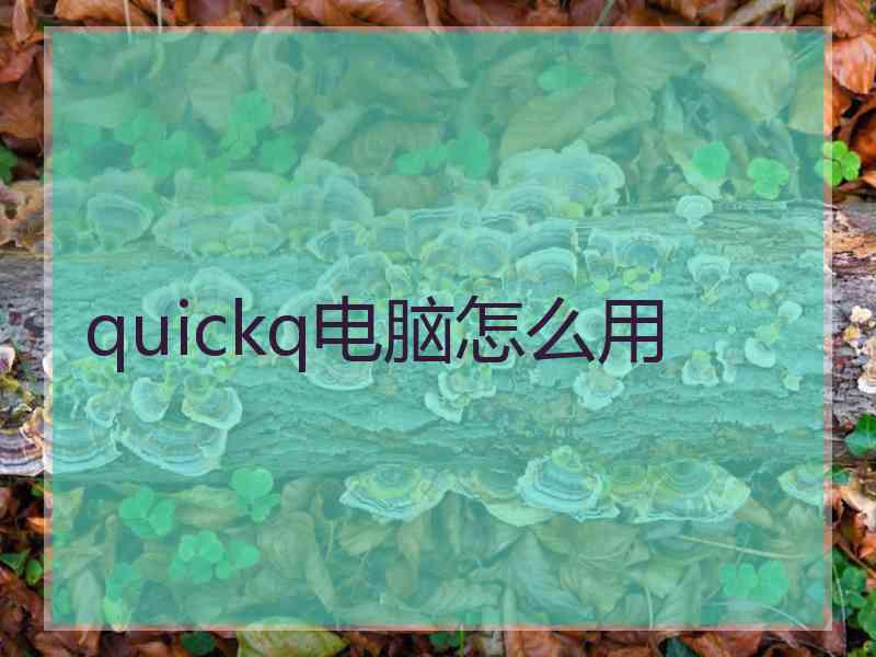 quickq电脑怎么用