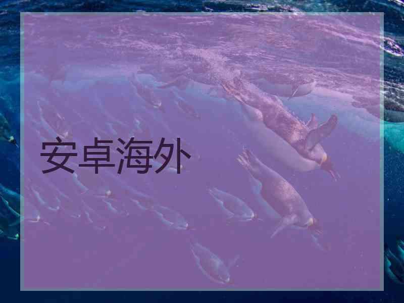 安卓海外