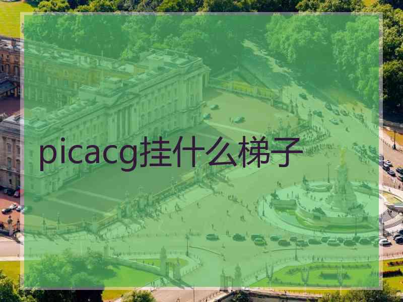 picacg挂什么梯子