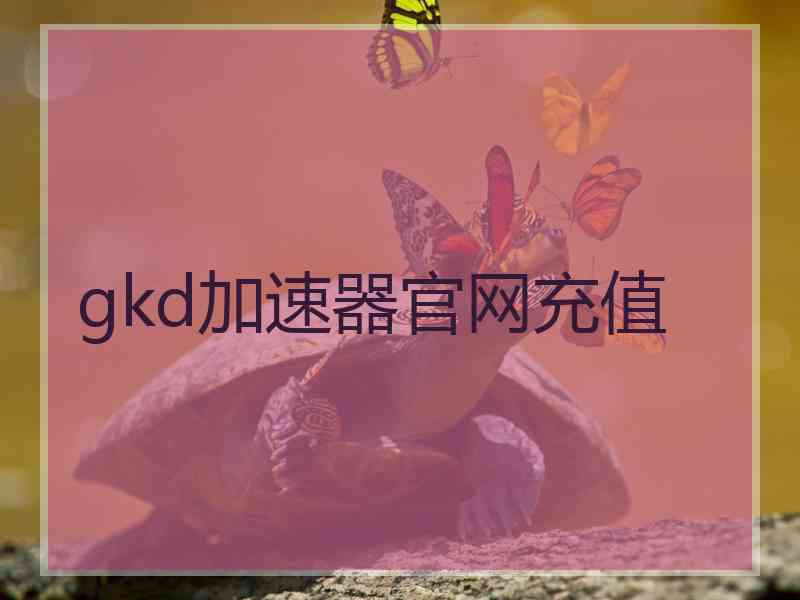 gkd加速器官网充值