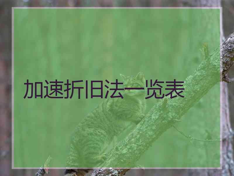 加速折旧法一览表