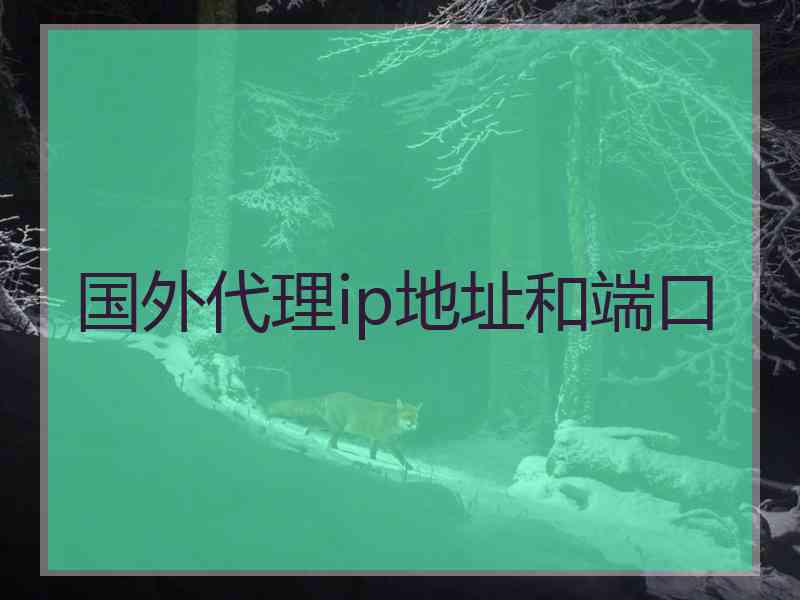 国外代理ip地址和端口