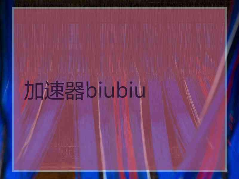 加速器biubiu