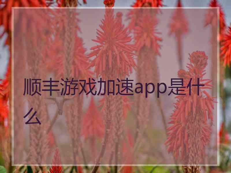 顺丰游戏加速app是什么