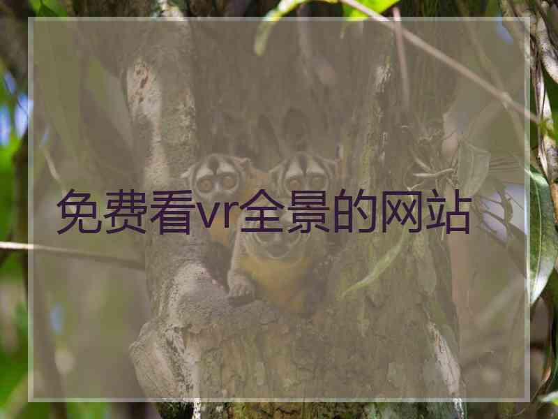 免费看vr全景的网站