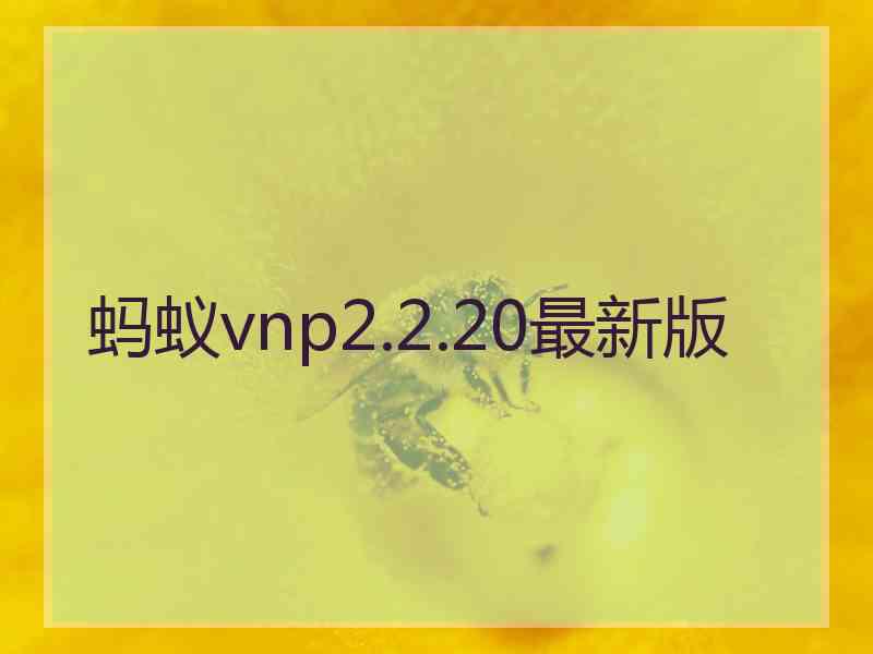 蚂蚁vnp2.2.20最新版