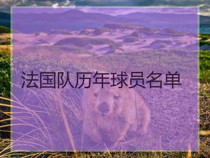 法国队历年球员名单