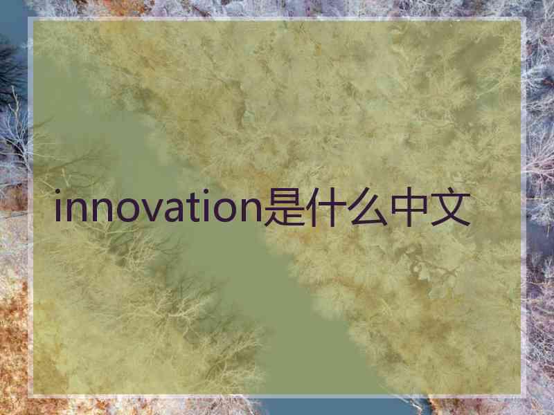 innovation是什么中文