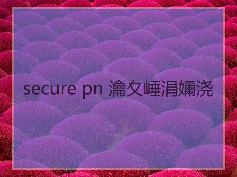 secure pn 瀹夊崜涓嬭浇