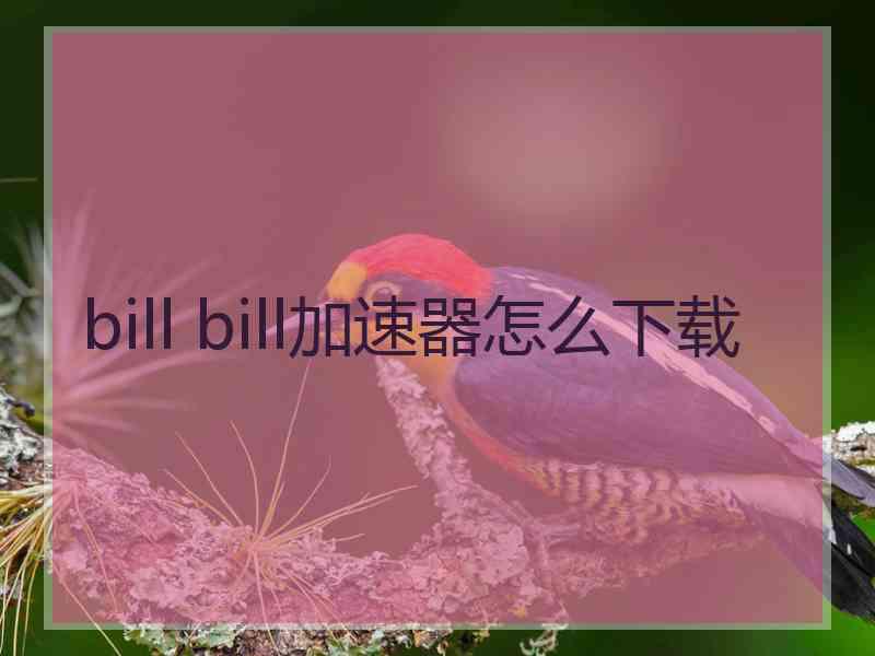 bill bill加速器怎么下载