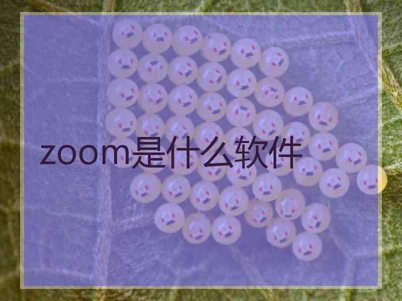 zoom是什么软件