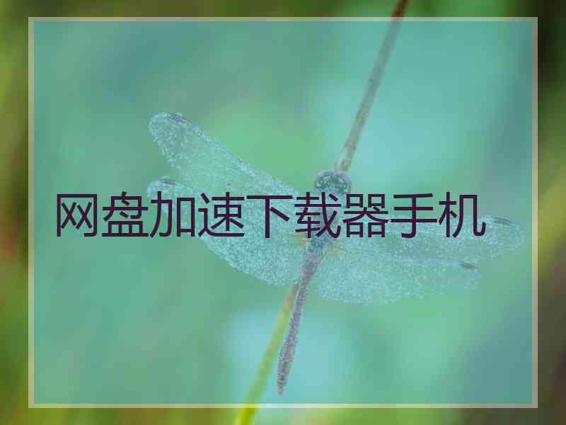 网盘加速下载器手机