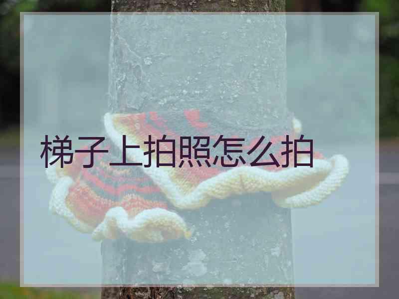 梯子上拍照怎么拍