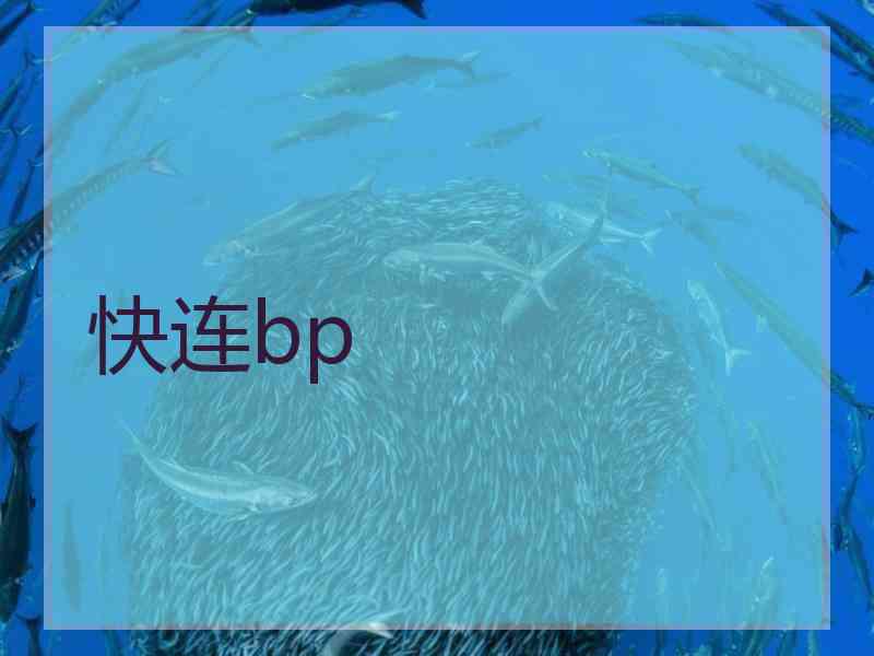 快连bp