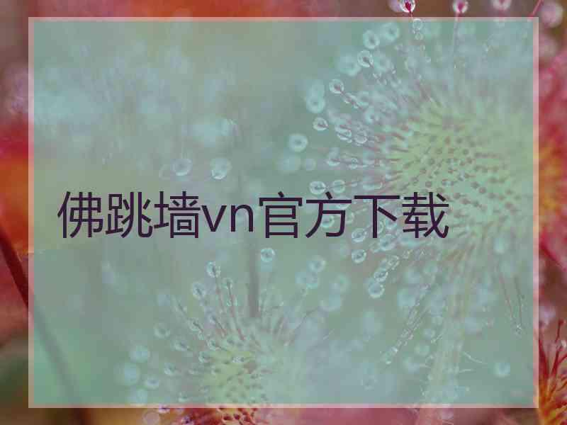 佛跳墙vn官方下载