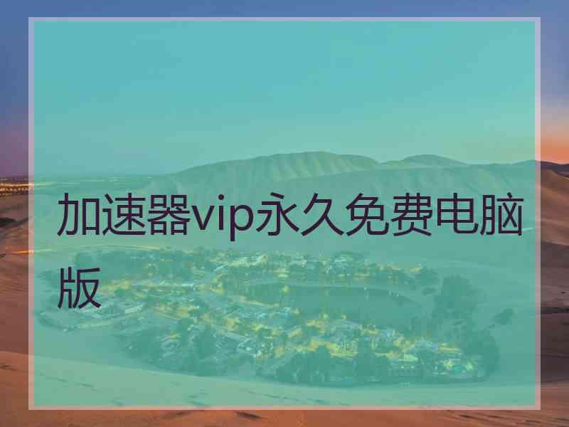 加速器vip永久免费电脑版