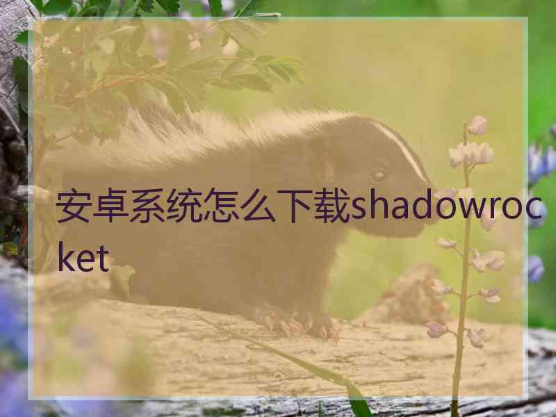 安卓系统怎么下载shadowrocket