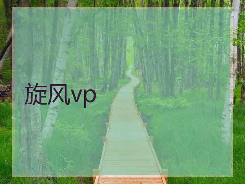 旋风vp