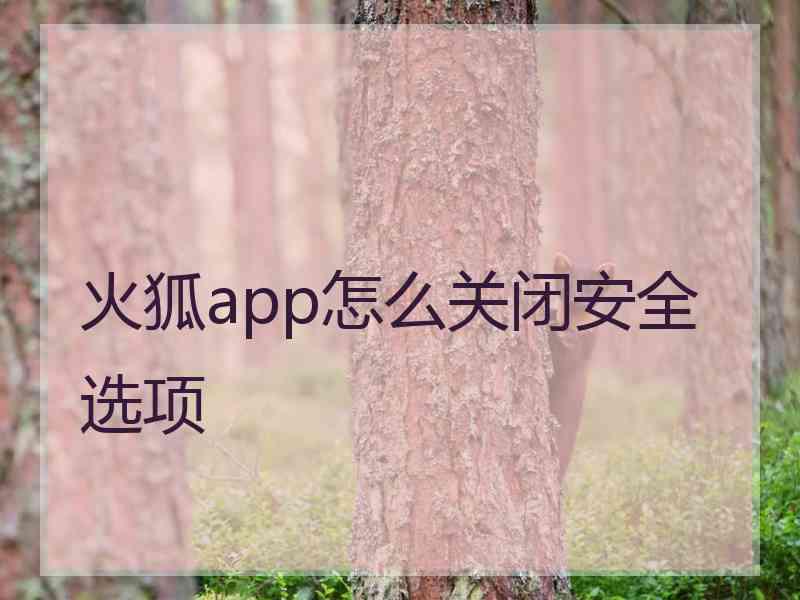 火狐app怎么关闭安全选项