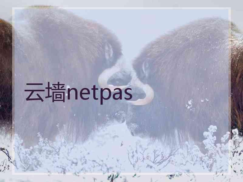 云墙netpas