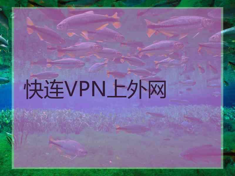 快连VPN上外网