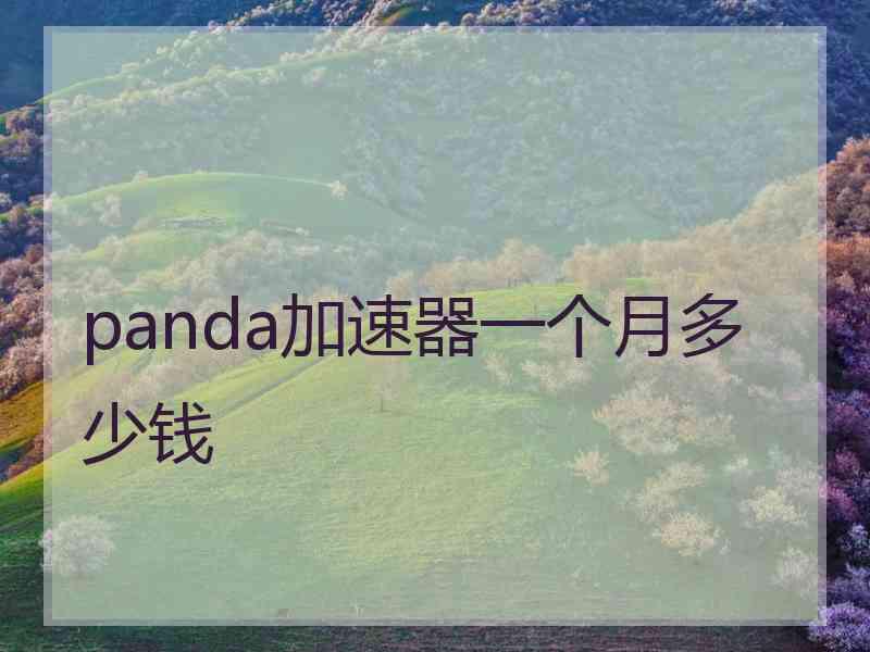 panda加速器一个月多少钱