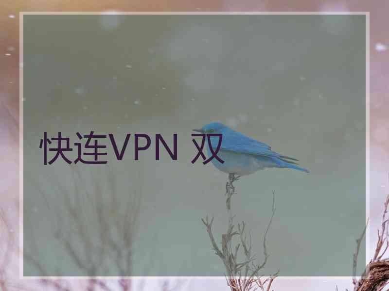 快连VPN 双