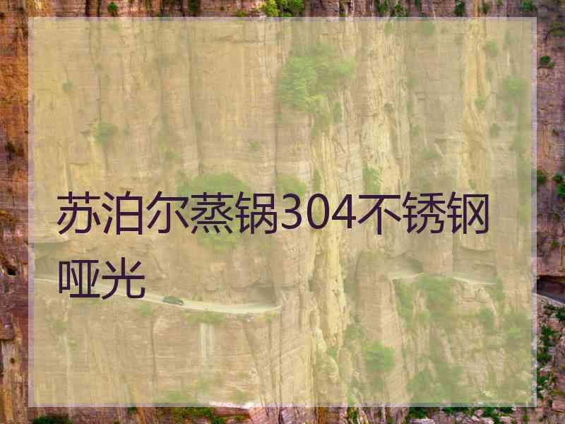 苏泊尔蒸锅304不锈钢哑光