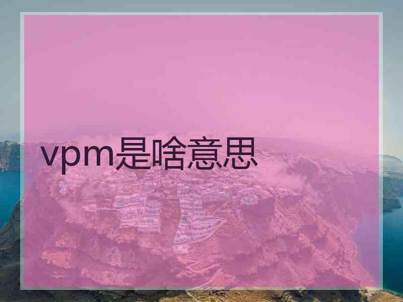 vpm是啥意思