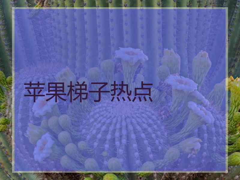 苹果梯子热点