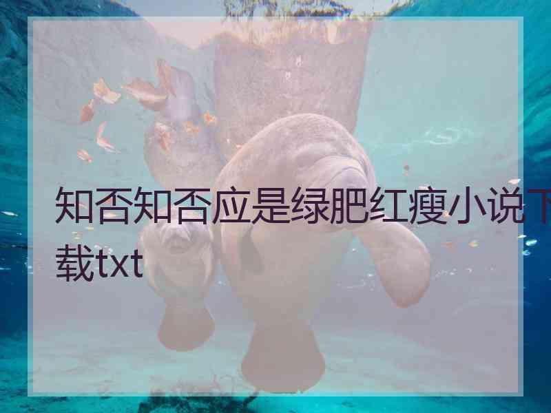 知否知否应是绿肥红瘦小说下载txt