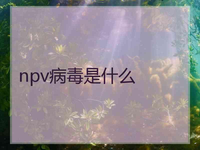 npv病毒是什么