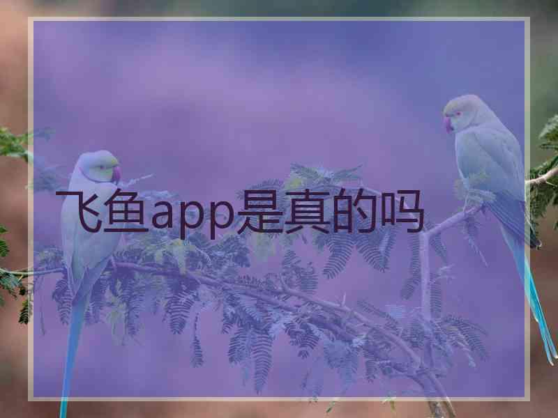 飞鱼app是真的吗