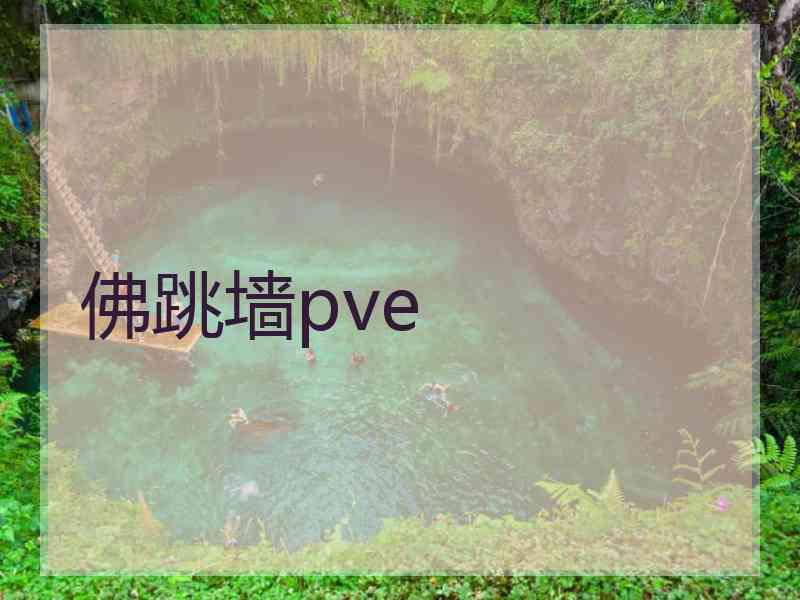 佛跳墙pve