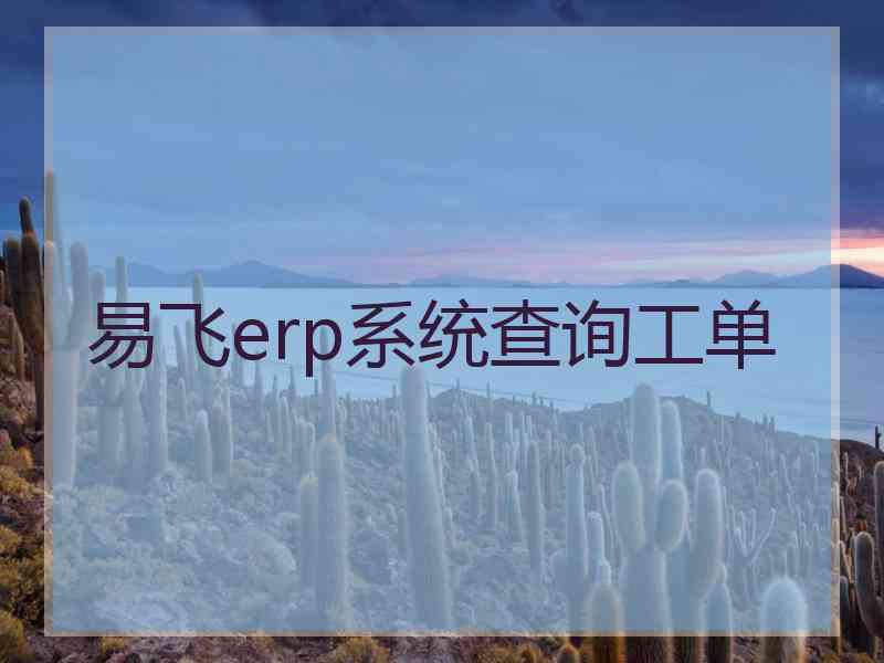 易飞erp系统查询工单