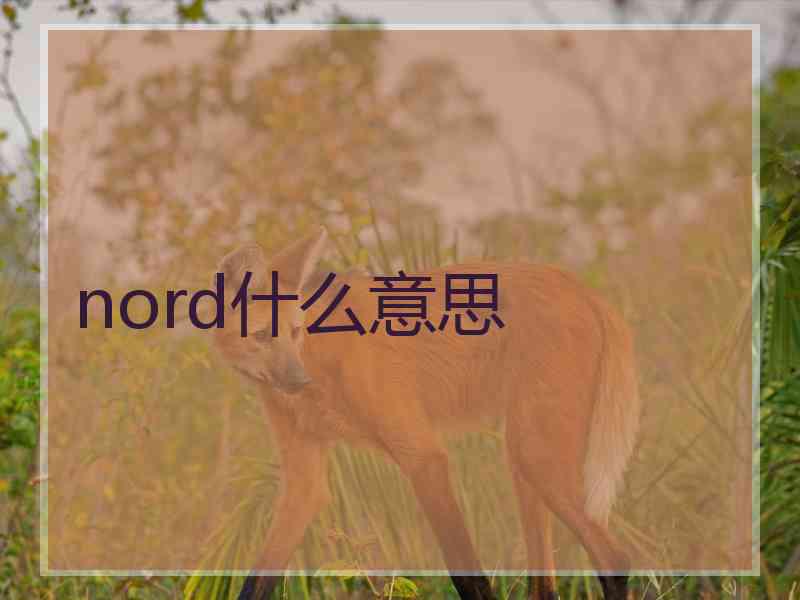 nord什么意思