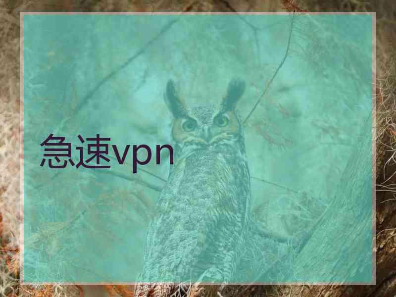 急速vpn