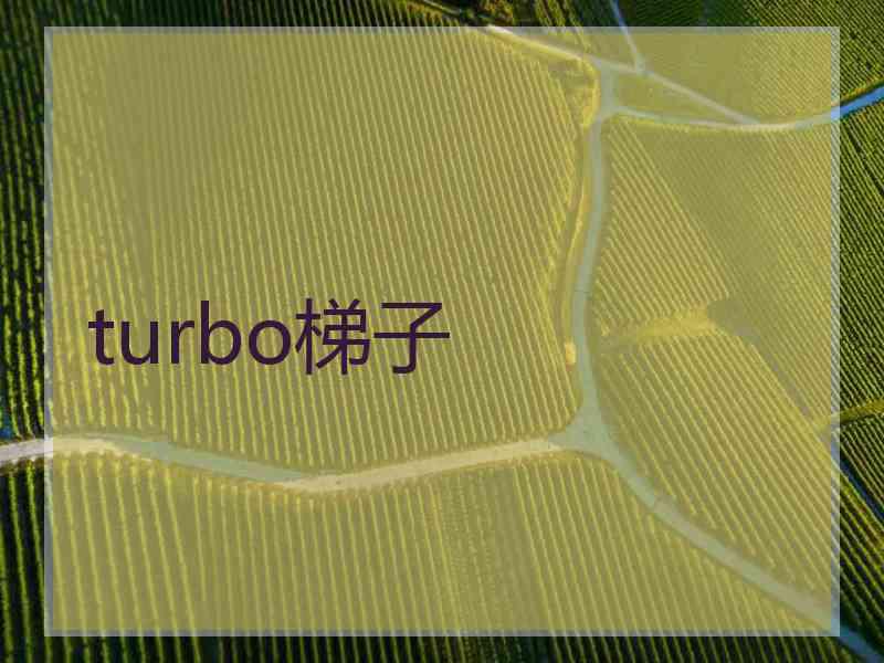 turbo梯子