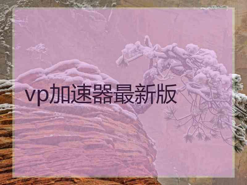 vp加速器最新版