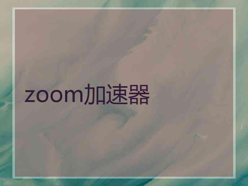 zoom加速器