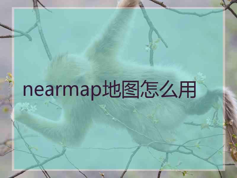 nearmap地图怎么用