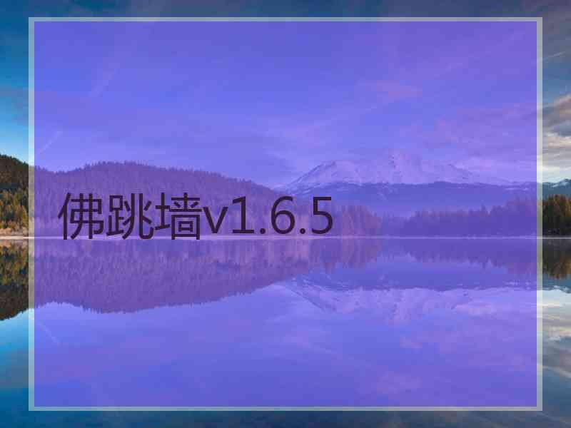 佛跳墙v1.6.5