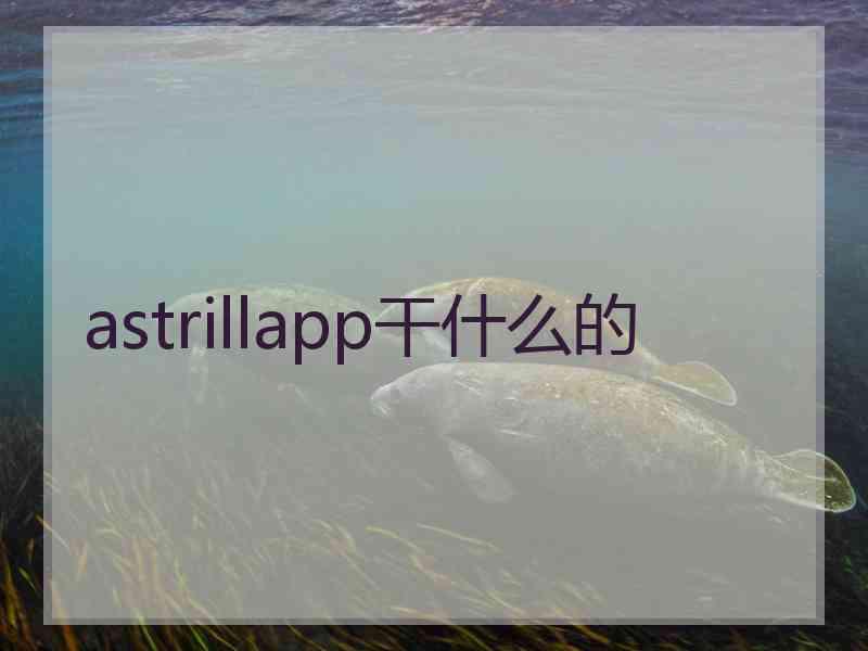 astrillapp干什么的