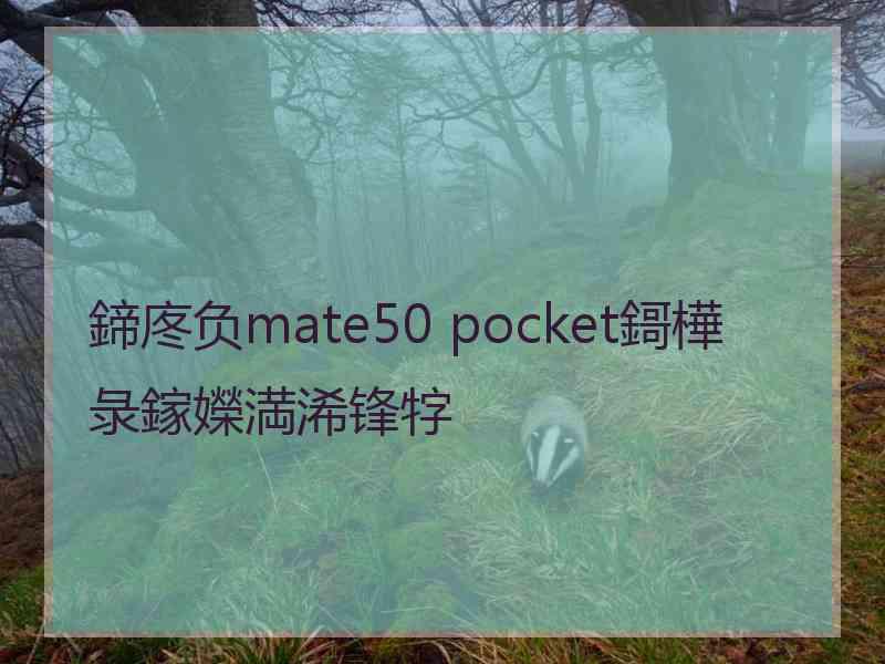 鍗庝负mate50 pocket鎶樺彔鎵嬫満浠锋牸