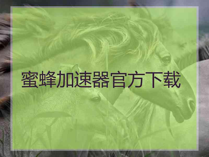 蜜蜂加速器官方下载