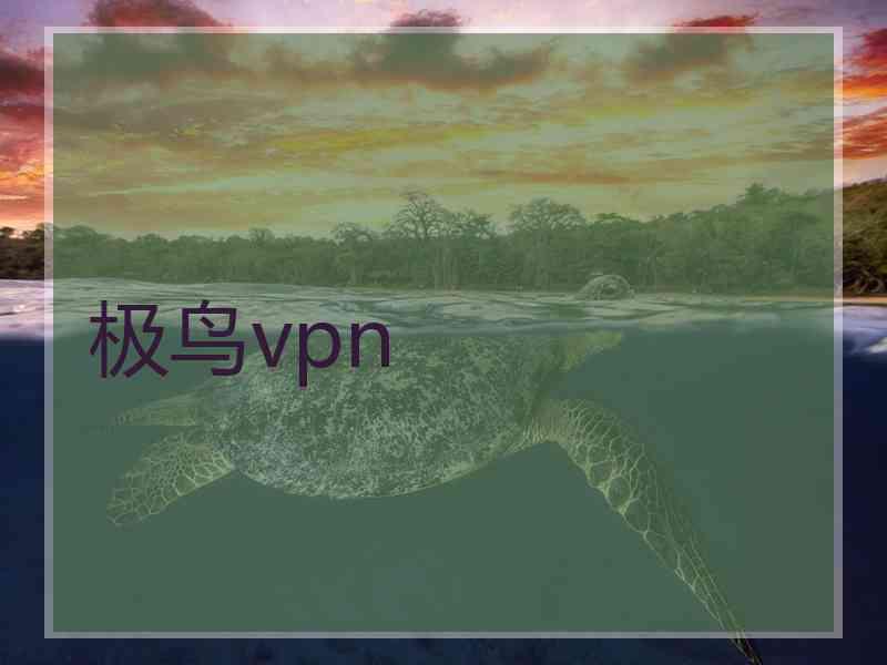 极鸟vpn