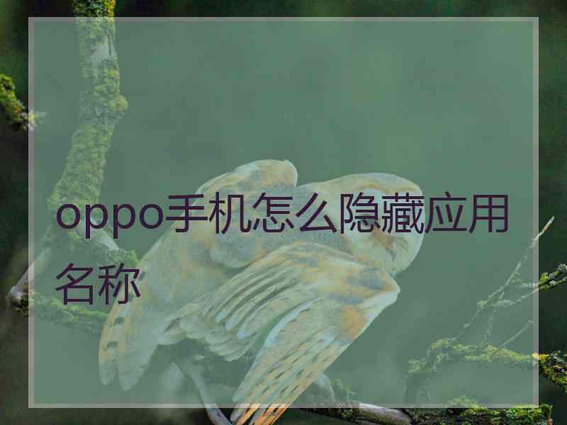 oppo手机怎么隐藏应用名称