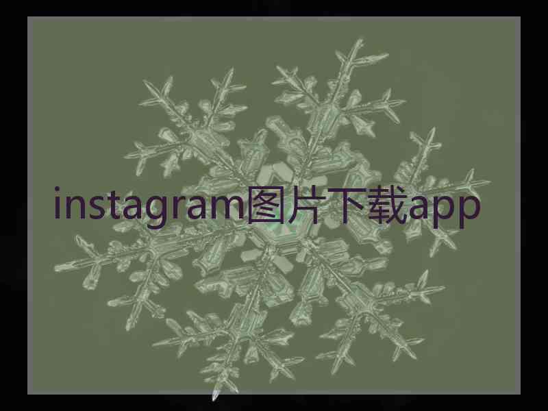 instagram图片下载app