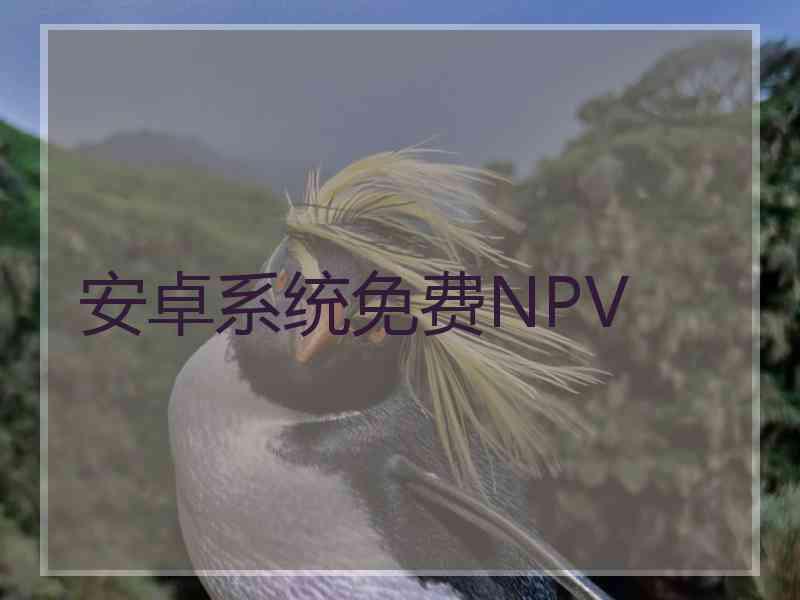 安卓系统免费NPV